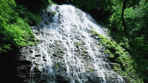 高性能环保环保